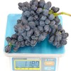 KISHMISH REBEKKA Seedless bare-root grafted grapevine