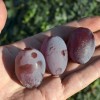 ATAMAN container grown grape vine